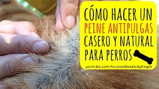 Peine Antipulgas para Perros [upl. by Cadal]