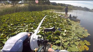 Punching Lily Pads for Big Bass [upl. by Tristram]