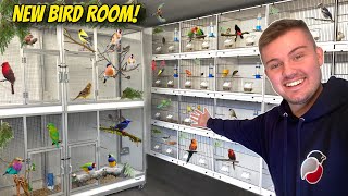 My AMAZING NEW Bird Breeding Room [upl. by Colvin]