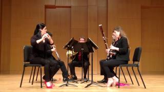 Carl Nielsen  Wind Quintet Op 43  III PraeludiumTema con variazioni [upl. by Jezabel]