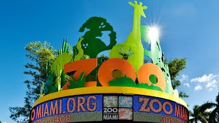 MIAMI ZOO Quick Educational TOUR  2025 [upl. by Reinal]