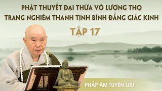 Vô Lượng Thọ Kinh tập 1729 năm 1994  Pháp Sư Tịnh Không [upl. by Siravart]