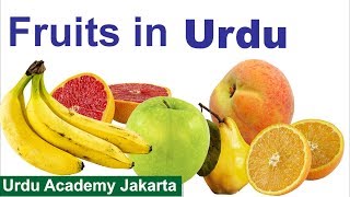 Learn Names of Fruit in Urdu Language  Urdu Vocabulary [upl. by Inesita]