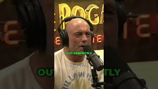 Are Human Ashes Real  Joe Rogan Explains shorts joerogan ashes [upl. by Welcy]