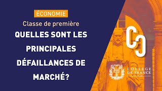 Externalités et défaillance de marché [upl. by Teerprug]