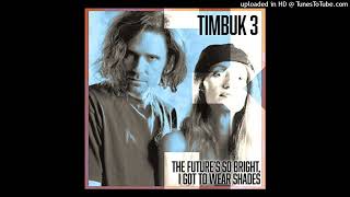 Timbuk 3  The futures so bright i gotta wear shades 1986 magnums extended mix [upl. by Aihsad]