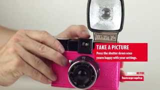 The Diana F Mr Pink [upl. by Ateekahs]