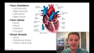 Had an echocardiogram Heres how to understand your results [upl. by Jair]