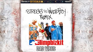 LIMP BIZKIT “DAD VIBES” STWB REMIX [upl. by Yrmac788]