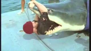 Very Funny Shark Commercial TV Advertisement Video for John West Tuna Snack Pots Low Calories 2003 [upl. by Ahsiet599]