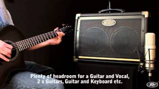 Peavey Ecoustic Acoustic Guitar Amplifiers [upl. by Godderd591]