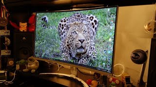 Acer ED273 review  27quot 1080p curved VA monitor  By TotallydubbedHD [upl. by Nairehs840]