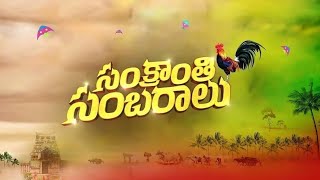 Sankranthi Sambaralu  2024  Family song  Sankranthi Vachinde Tummeda [upl. by Harley]