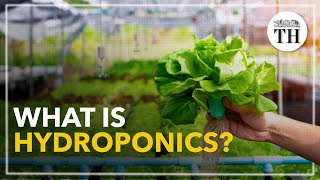 All about Hydroponics [upl. by Narra]