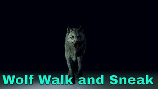 3D Animation Wolf Walk and Sneak Cycle Version 2 [upl. by Tenaej615]