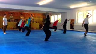 Shaolin Kung Fu Workshop Liu He Quan [upl. by Shoifet]