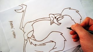 Como Desenhar o PapaLéguas Road Runner  How to Draw Road Runner  SLAY DESENHOS 112 [upl. by Ydassac]