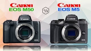 Canon EOS M50 vs Canon EOS M5 [upl. by Karlene952]