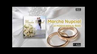 Marcha Nupcial  Mendelssohn  Música para bodas [upl. by Eibloc250]