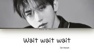 Cai Xukun 蔡徐坤  Wait Wait Wait Lyrics [upl. by Emiline152]