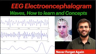 EEG Waves Physiology  Sleep Physiology Epilepsy  Electroencephalogram CNS Physiology Video [upl. by Nosnhoj]