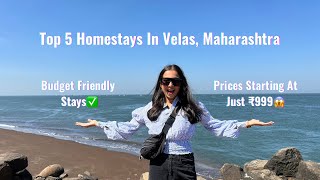 Top 5 HOMESTAYS in Velas 😍 AFFORDABLE PRICE  Under 1000 per person🤯 Velas Turtle Festival🐢 [upl. by Devine727]