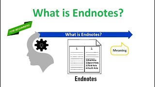 What is Endnotes [upl. by Bridie]