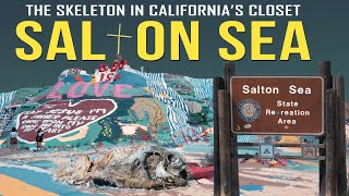 The Salton Sea The Skeleton in Californias Closet [upl. by End]