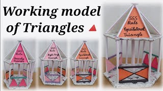 Maths project for class 9  Congruence of TrianglesSSS SAS ASA AAS  congruent triangles rules [upl. by Suicul]