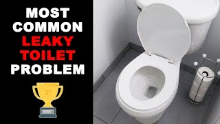 Most Common Leaking Toilet Problem and How to Fix It [upl. by Glavin]