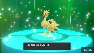 Obtaining CT 203 Galarian Zapdos Shiny Pokemon Sword  Shield [upl. by Rici289]