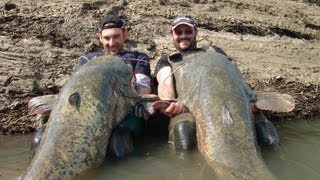 Catfishing Two Monsters Fish Record Over 220 pounds by Catfish World [upl. by Grayson]