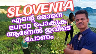 Slovenia Work visa malayalam  How to Find a Job and Employer in Slovenia [upl. by Georglana]