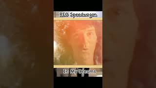 Legendary REO Speedwagon Song  In My Dreams shortsvideo music [upl. by Yettie552]