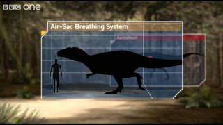 Breathing Techniques  Planet Dinosaur  Episode 1  BBC [upl. by Acirred]