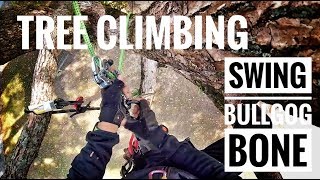 Happy Tree Climbing  Swing  Bulldogbone  Gopro [upl. by Eberhard]