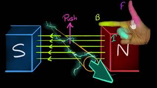 Adobe Animate CC Complete Course in One Video in Hindi [upl. by Guenna]