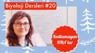 Biyoloji dersleri 20 Kodlamayan RNAlar [upl. by Berget199]