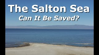 Saving the Salton Sea A Story of Hope Art and Restoration [upl. by Krongold613]