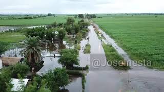 Inundaciones en Tucumán Árbol Sólo en Ranchillos [upl. by Wolford]