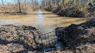 Beaver Dam Removal Culvert Unclogging  Big Water Flow [upl. by Bouchard]