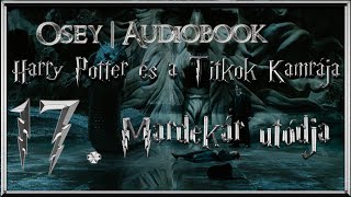 Harry Potter és a Titkok Kamrája hangoskönyv  17 fejezet [upl. by Welcher33]