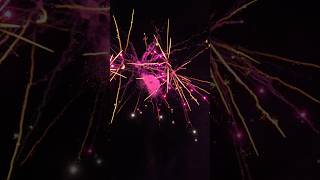 100mm Zylinderbombe JGWB Scala 8 Crackling Violett  Farfalle fireworks firework feuerwerk jgwb [upl. by Henry]