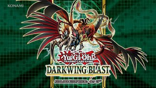 YuGiOh TCG  Darkwing Blast  Set Introduction [upl. by Hoehne]