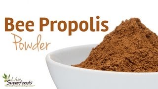 All About Bee Propolis Powder  LiveSuperFoodscom [upl. by Rawdin561]