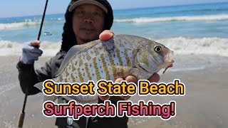 Sunset State Beach Surfperch Fishing [upl. by Acirne914]