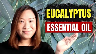 EUCALYPTUS OIL benefits amp uses Eucalyptus radiata Eucalyptus blue Eucalyptus globulus [upl. by Aivan]