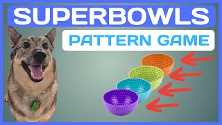 How To Teach Your Dog the SUPERBOWLS Pattern Game [upl. by Nylrac]