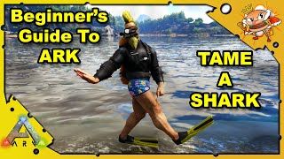 How To Tame A Shark And Start Exploring The Ocean A Beginners Guide  Ark Survival Evolved S4E31 [upl. by Bald343]