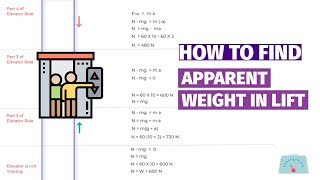 How to Calculate the Apparent Weight in an Elevator Free Body Diagrams Class 11 Physics [upl. by Alim837]